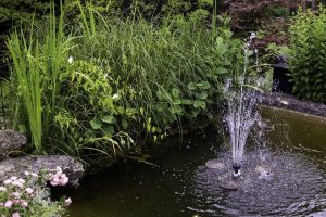PoradyOgrodnicze.pl - Pomysły na fontannę w ogrodzie - fontanna oczko wodne