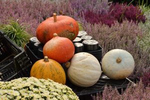 poradyogrodnicze-prace-ogrodowe-w-listopadzie-jesien-w-orodzie